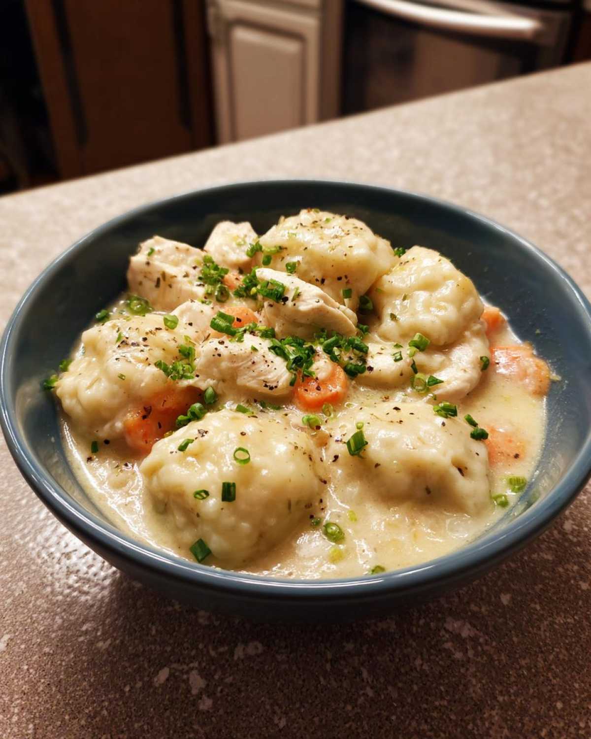 Instant Pot Chicken and Dumplings - detail 1