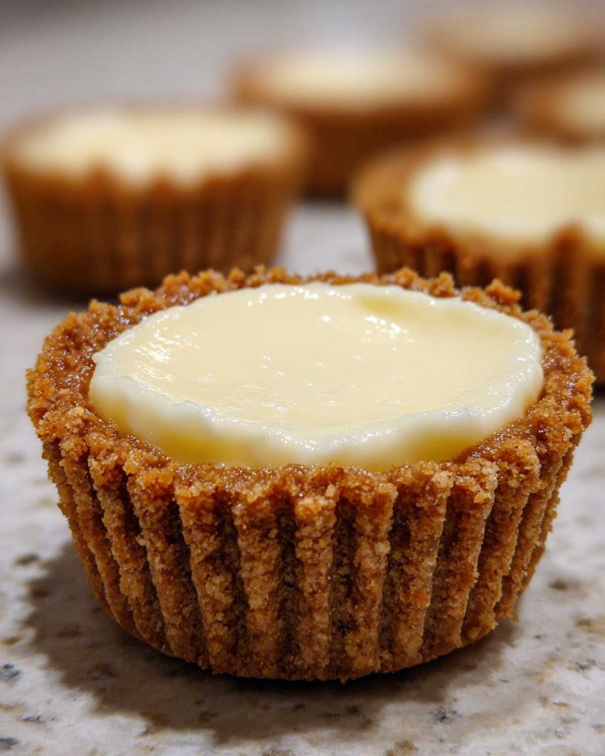 Mini No-Bake Cheesecakes - detail 1