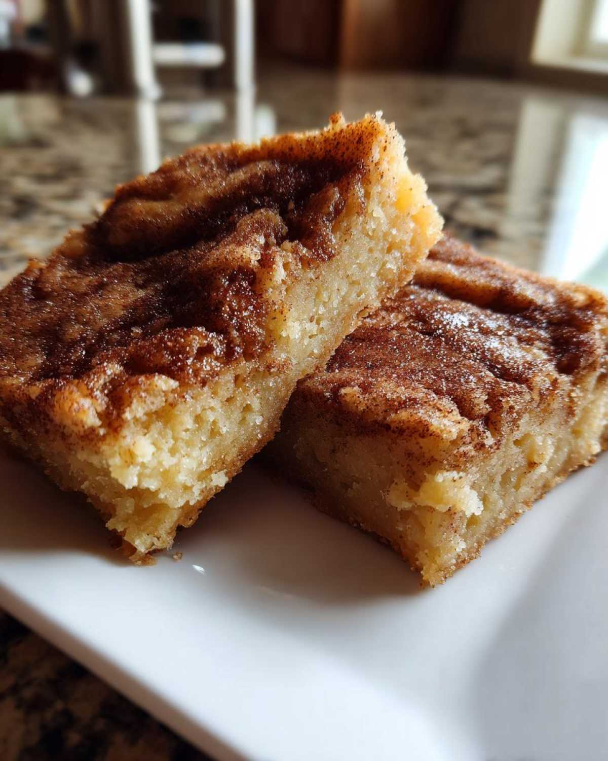 Snickerdoodle Blondies - detail 2