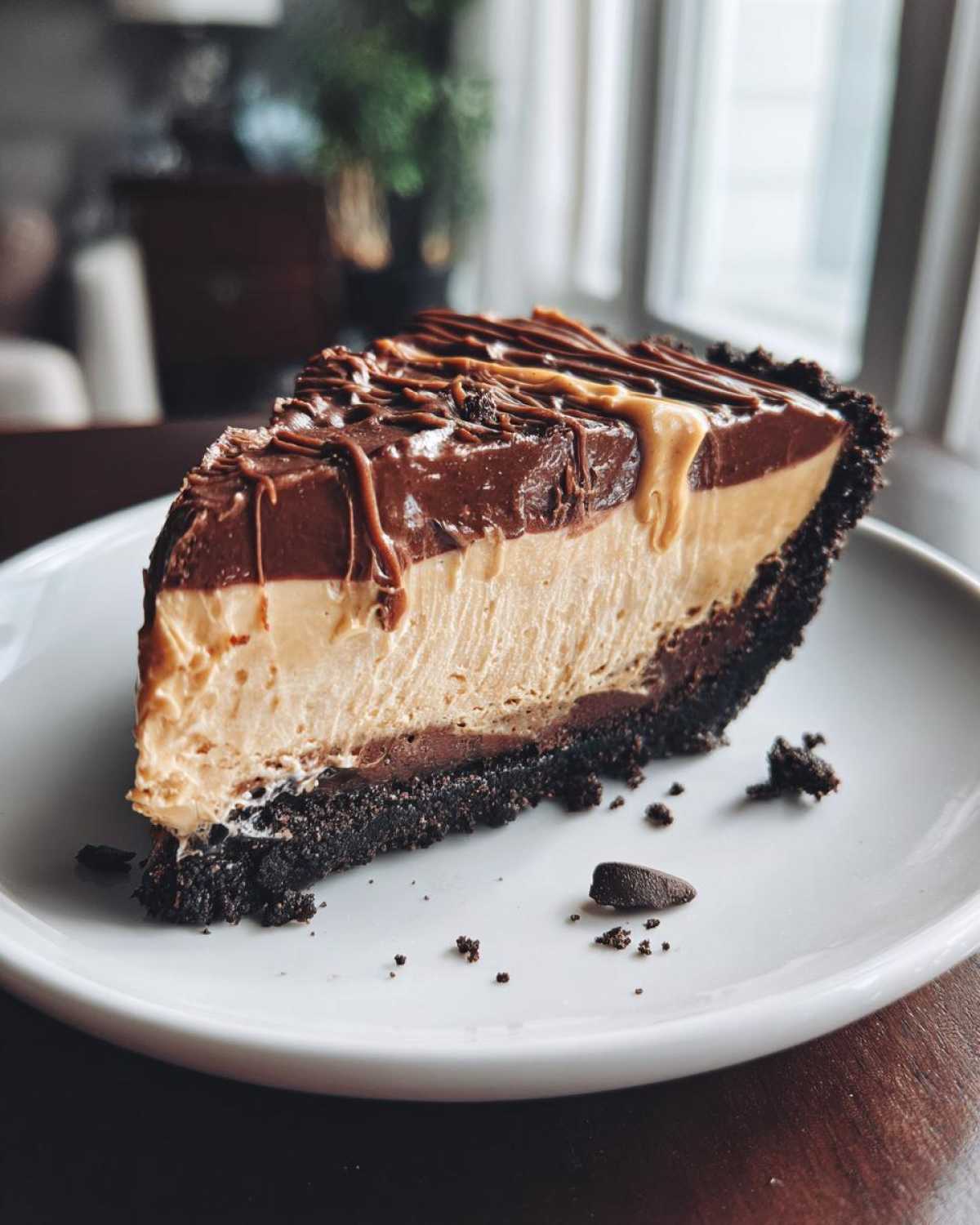 No-Bake Chocolate Peanut Butter Pie (5 Ingredients) - detail 2