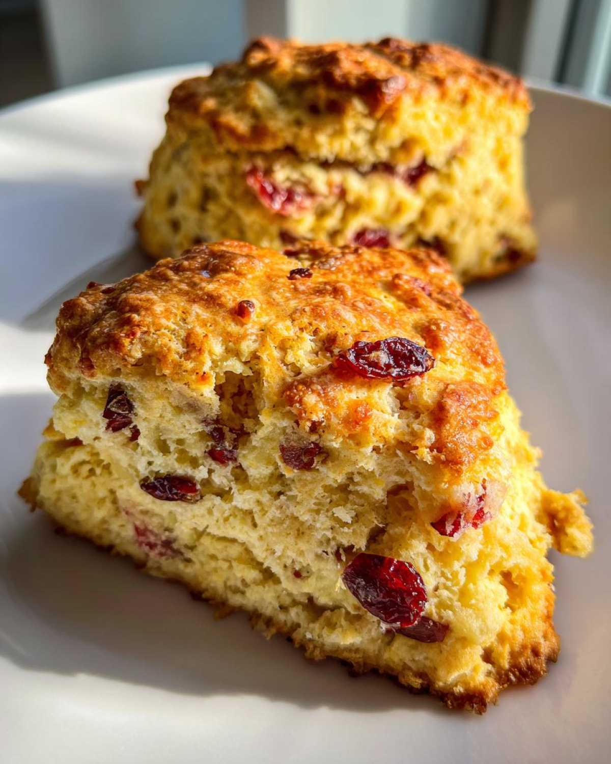 Orange Cranberry Scones (Zesty Morning Treat) - detail 1