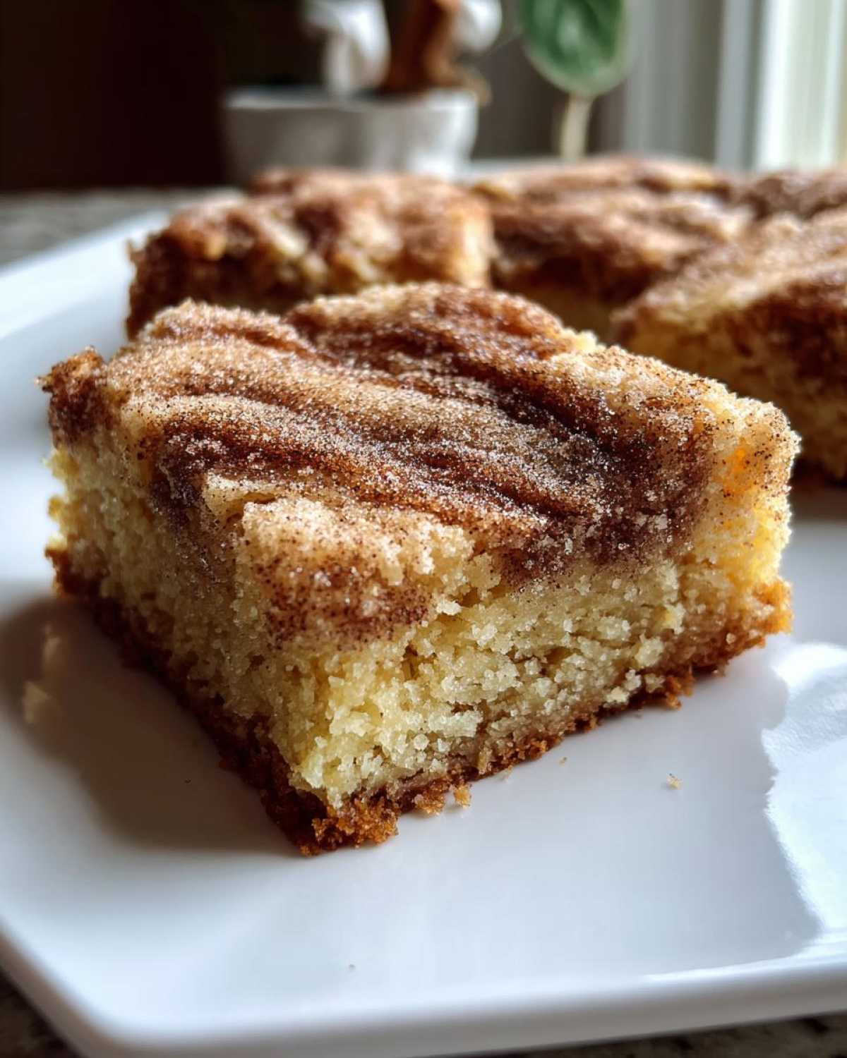 Snickerdoodle Blondies (Cinnamon Sugar Bliss) - detail 2