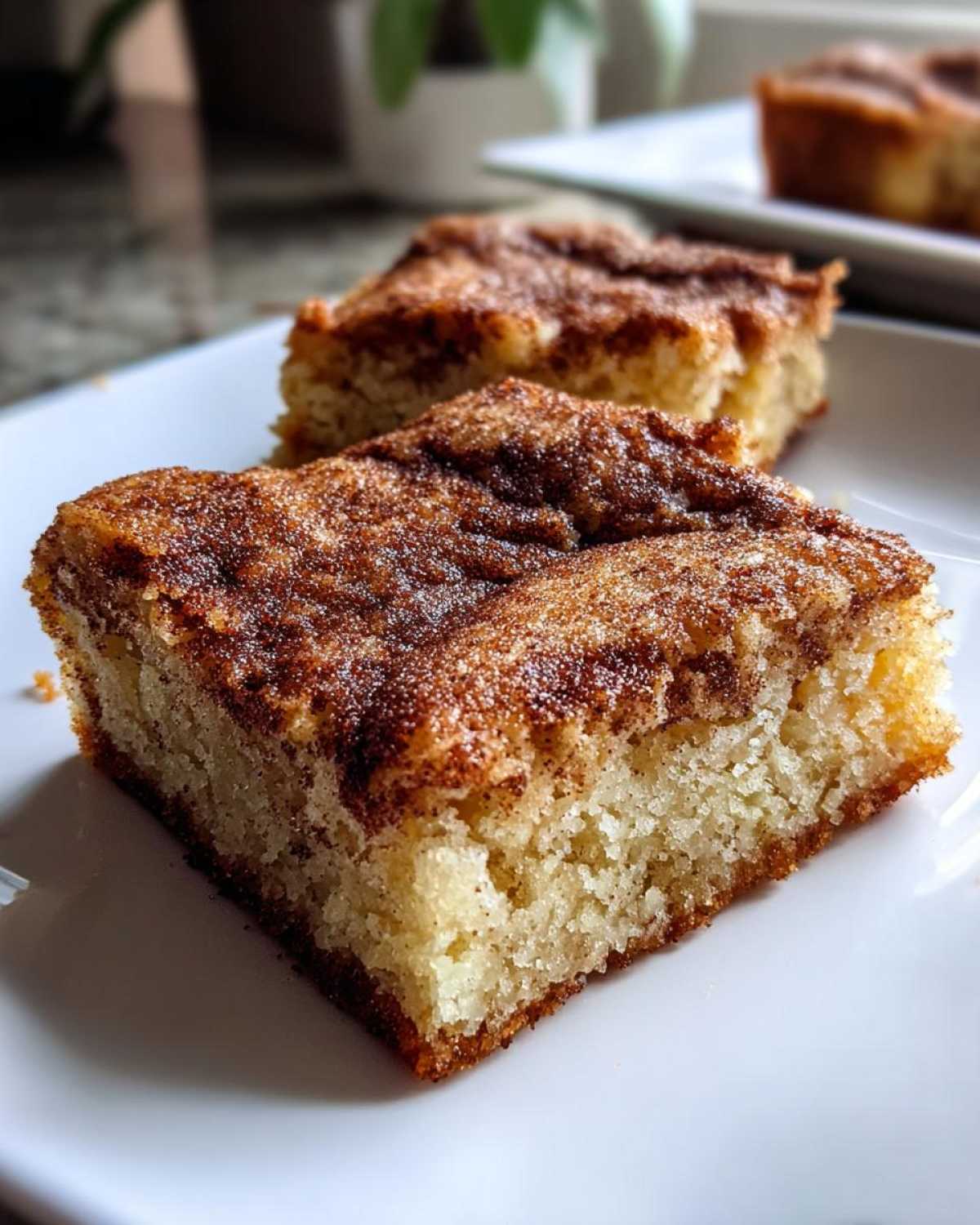 Snickerdoodle Blondies (Cinnamon Sugar Bliss) - detail 4