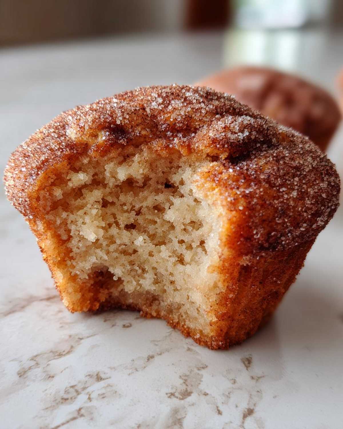 Apple Cider Doughnut Muffins - detail 1