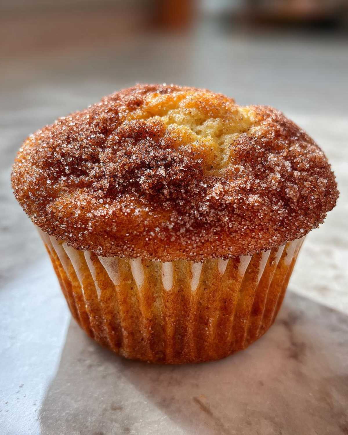 Apple Cider Doughnut Muffins - detail 2