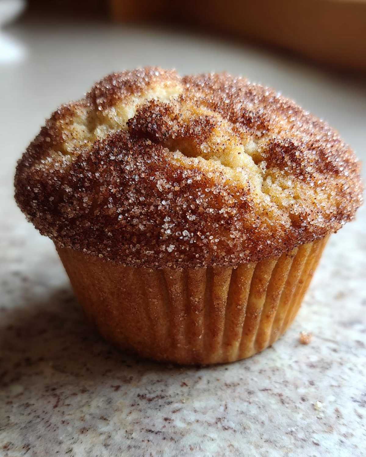 Apple Cider Doughnut Muffins - detail 3