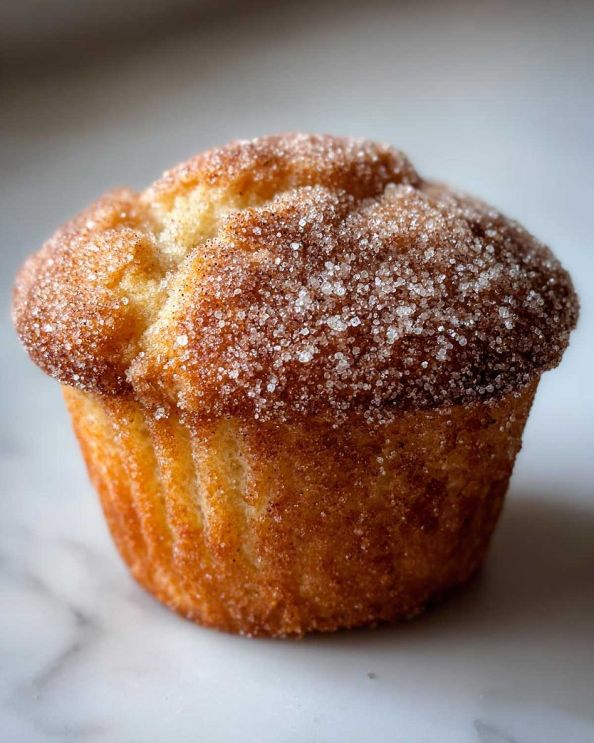 Apple Cider Doughnut Muffins - detail 4
