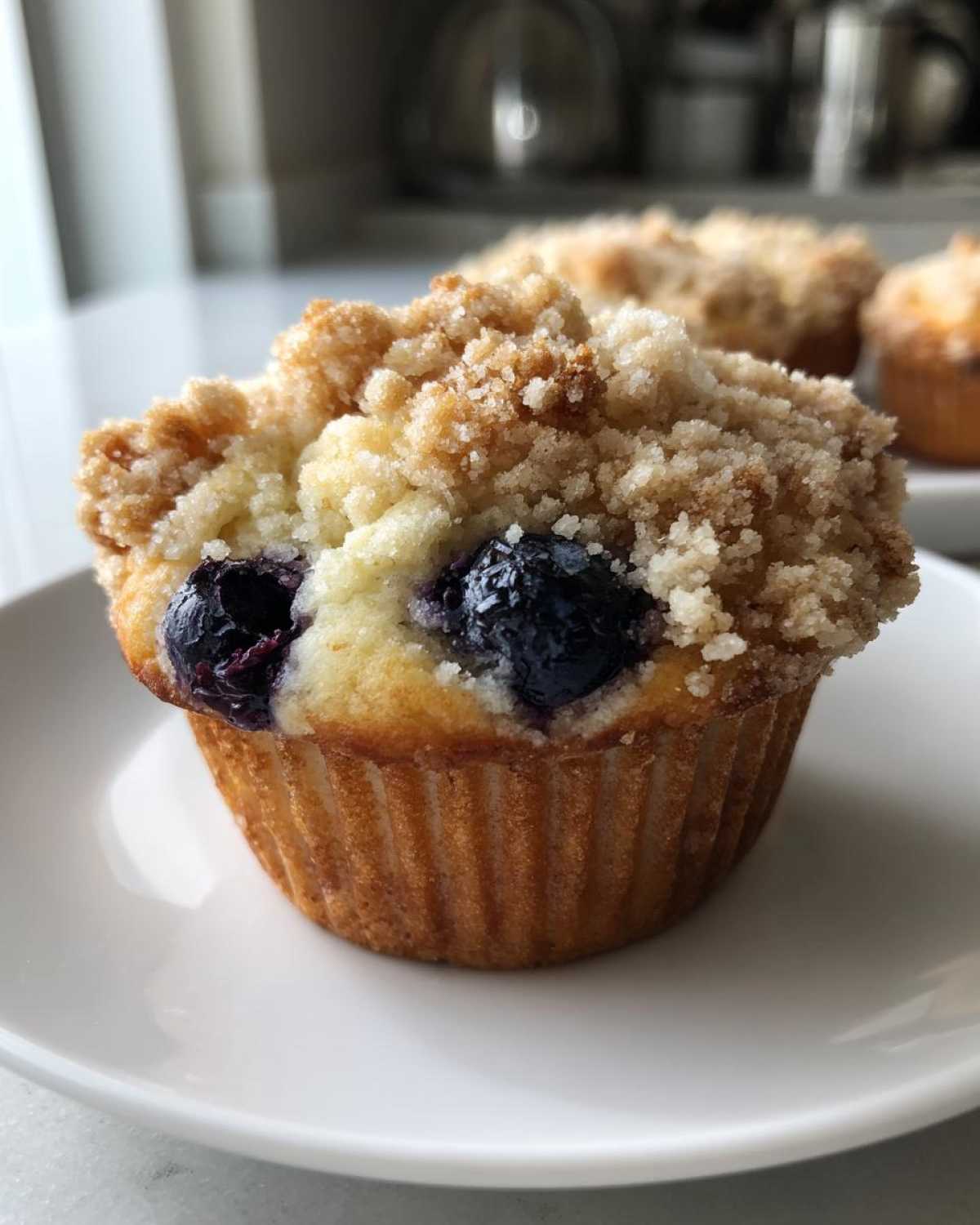 Blueberry streusel muffins - detail 1