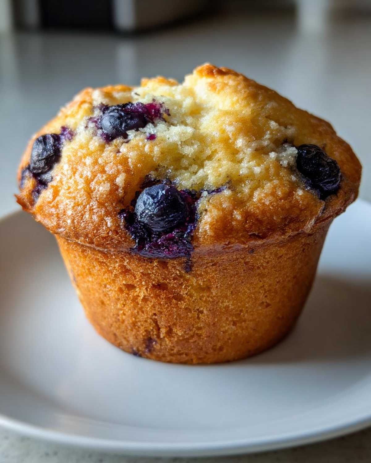Classic blueberry muffins - detail 3