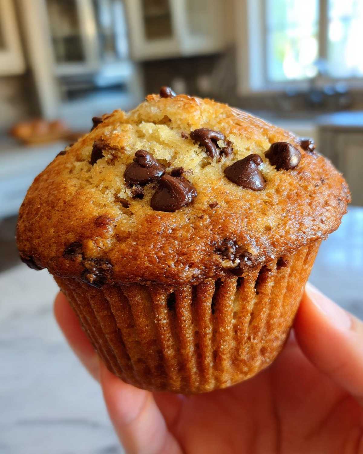 Classic chocolate chip muffins - detail 2