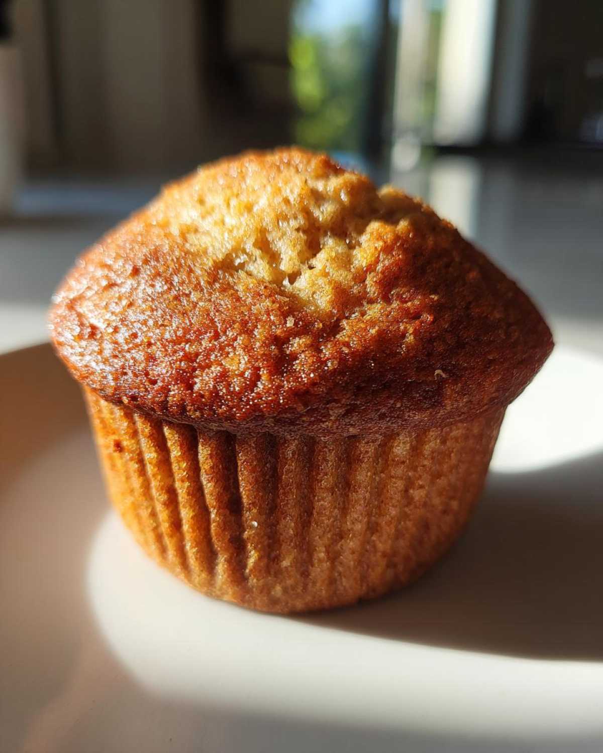 Classic protein muffins - detail 2