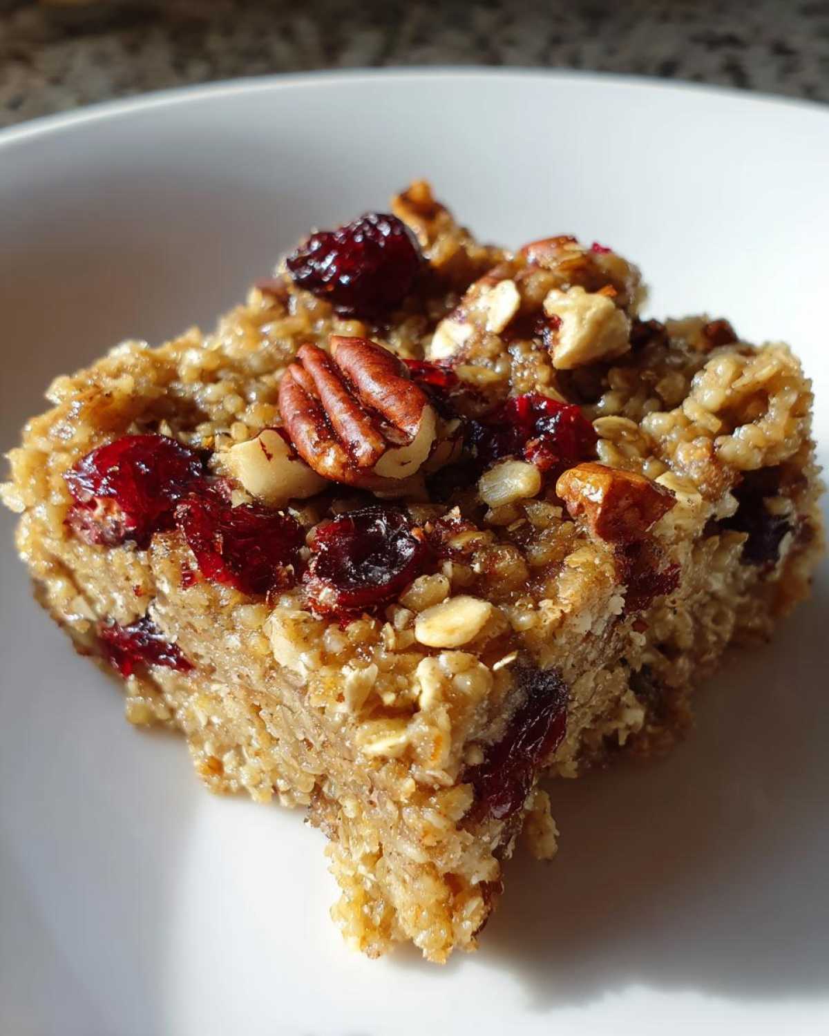 Cranberry Pecan Quinoa Breakfast Bars - detail 2