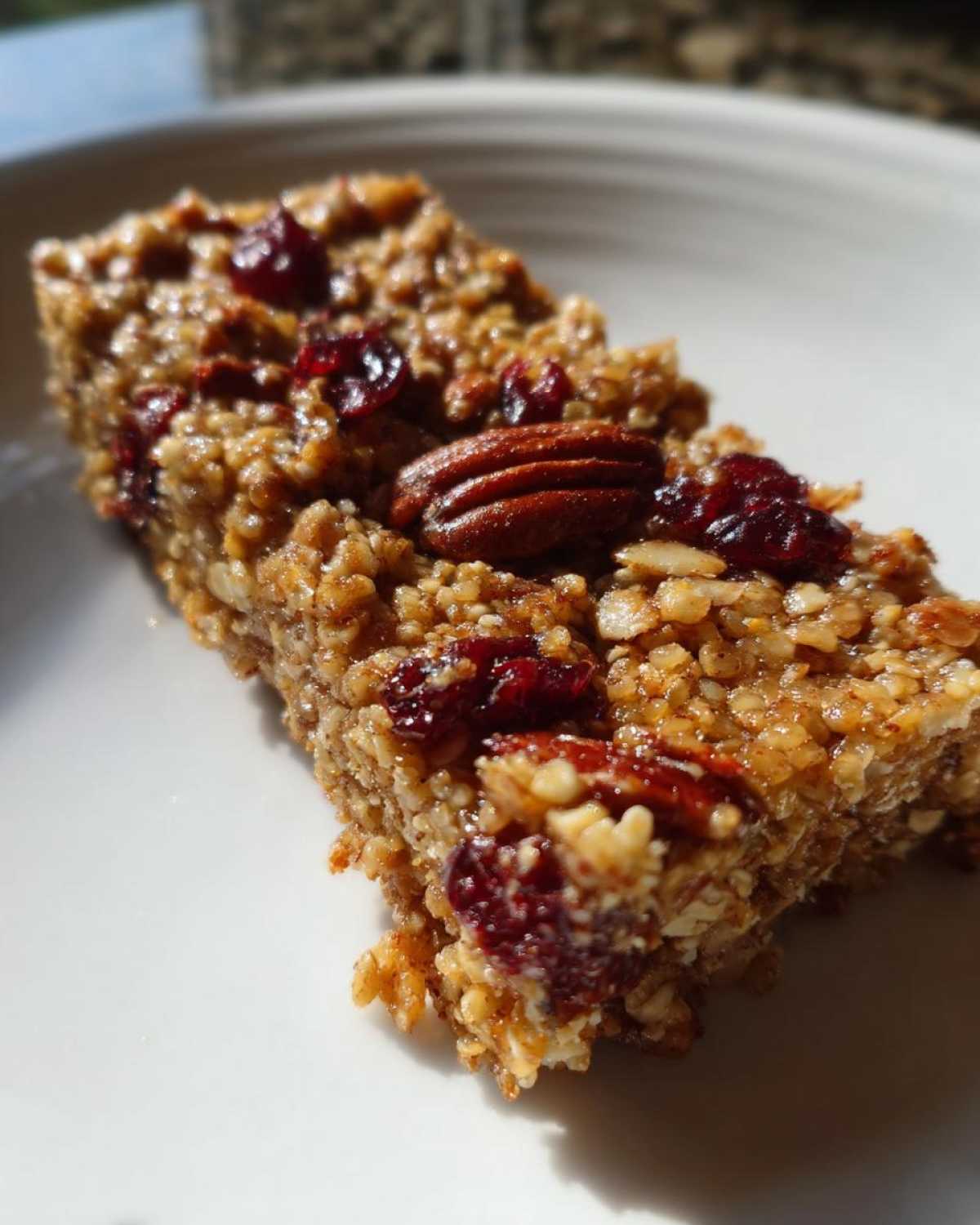 Cranberry Pecan Quinoa Breakfast Bars - detail 4