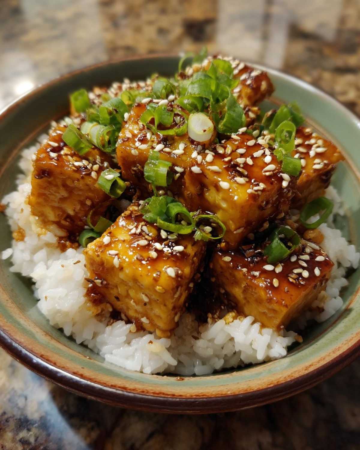 Japanese Teriyaki Tofu Rice Bowl - detail 4