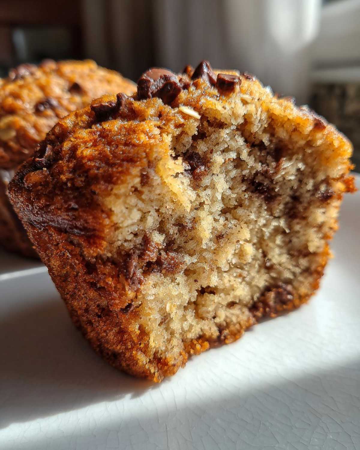 Oatmeal Chocolate Chip Breakfast Muffins - detail 2