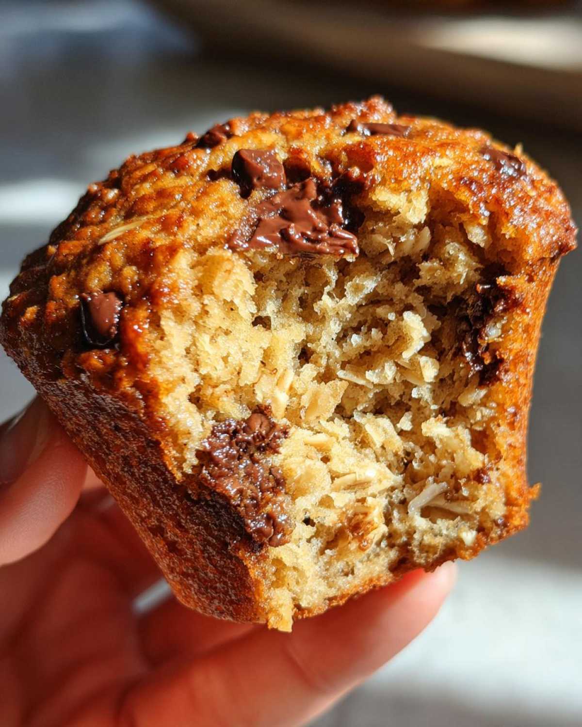 Oatmeal Chocolate Chip Breakfast Muffins - detail 3