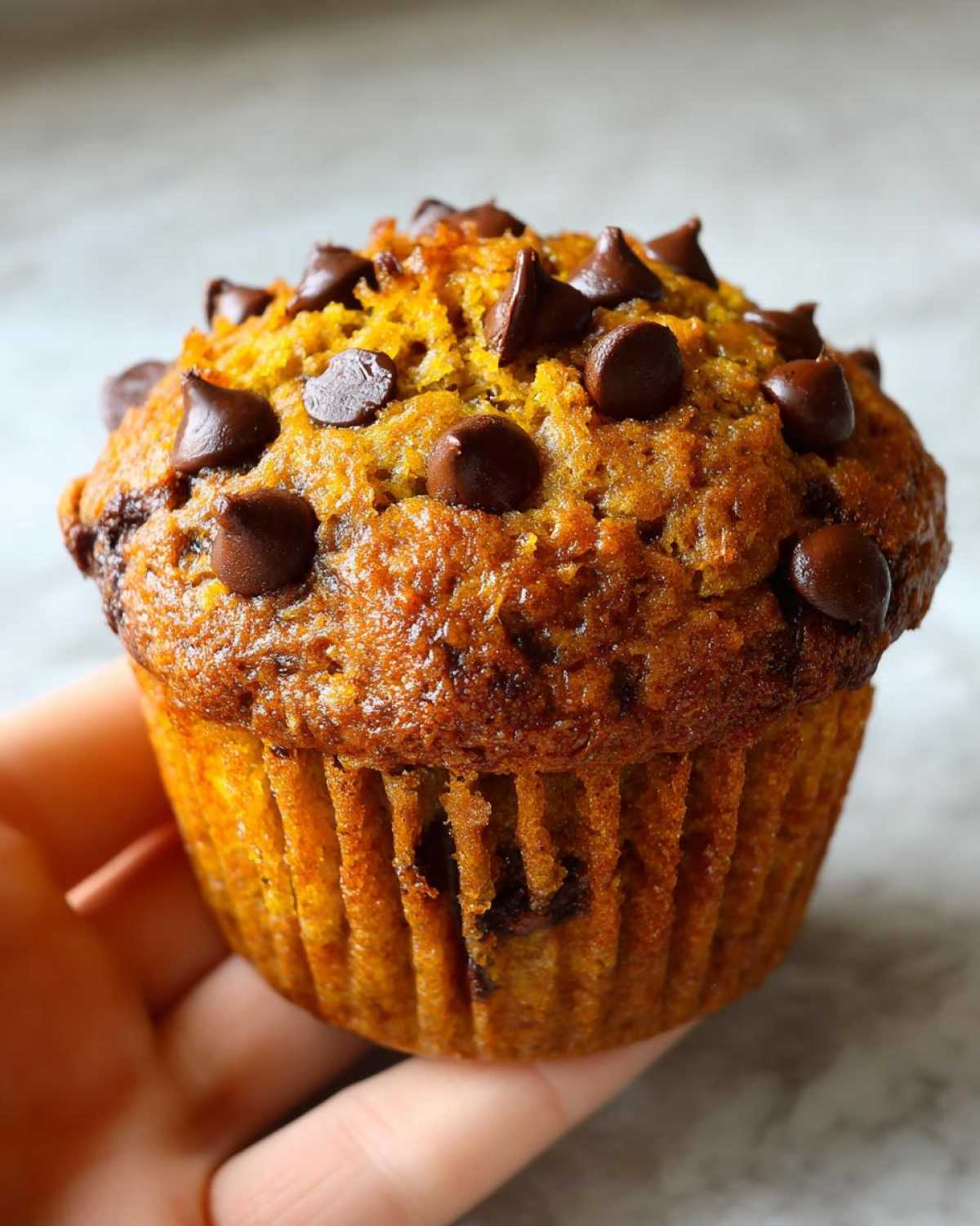 Pumpkin chocolate chip muffins - detail 3