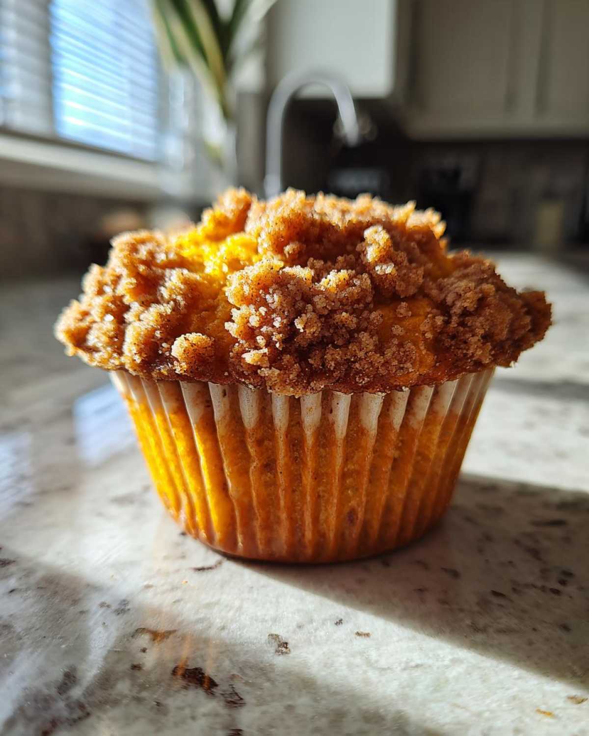 Spiced Pumpkin Streusel Muffins - detail 4