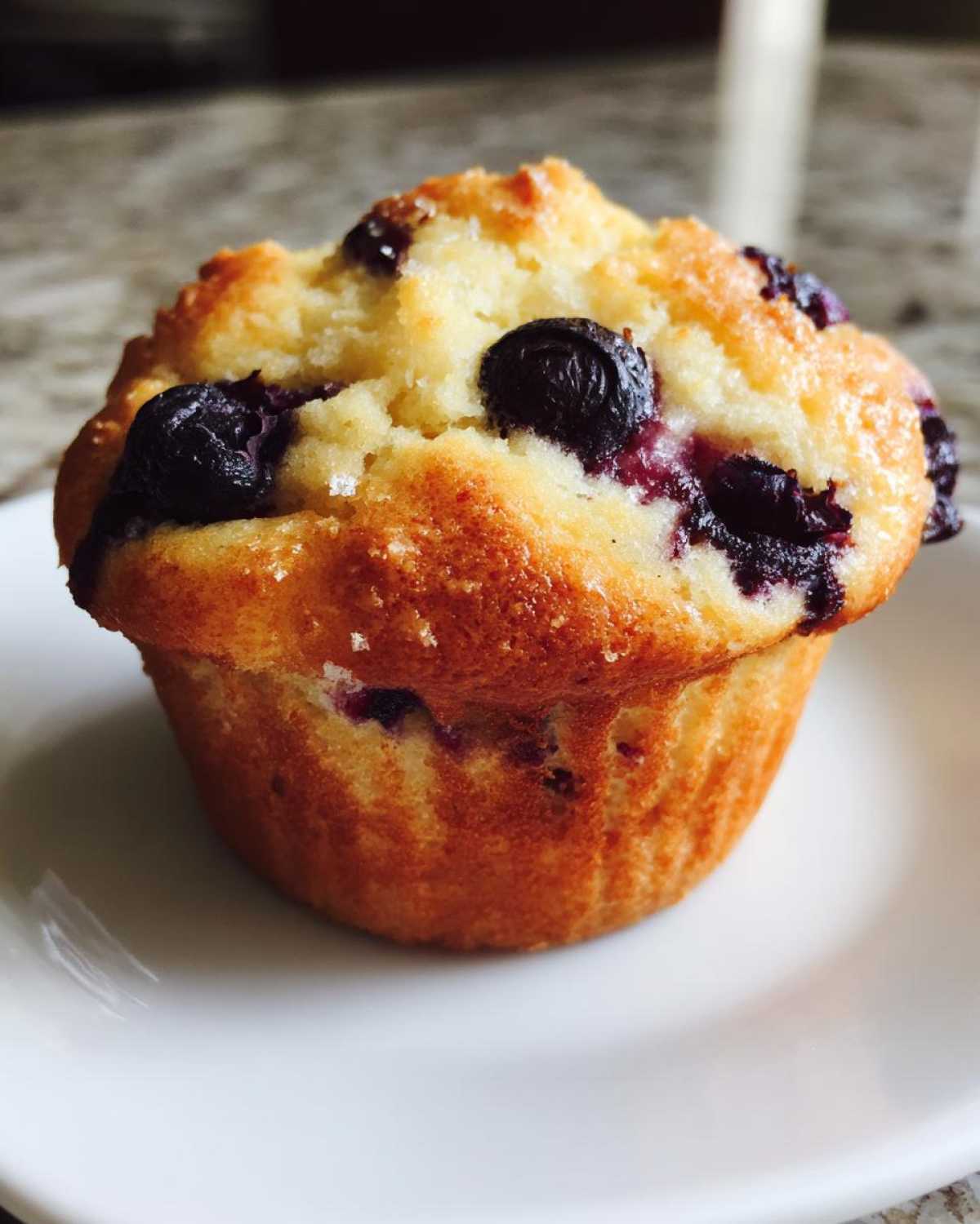 Blueberry Muffins That Actually Rise - detail 2