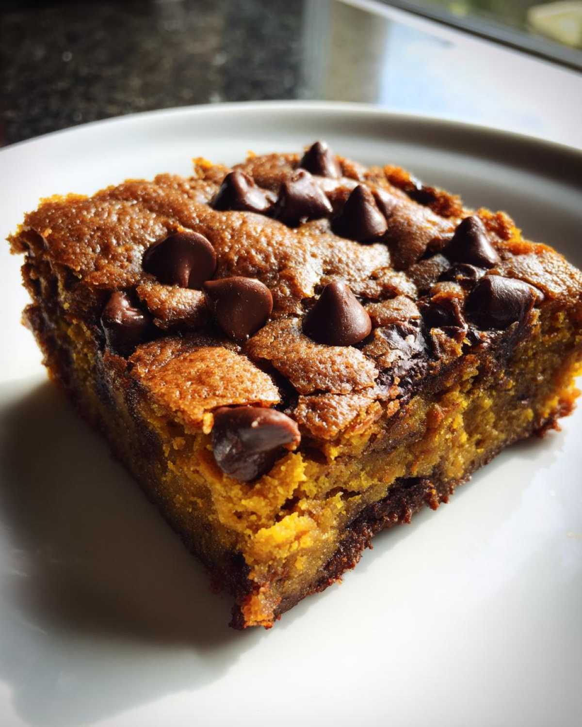 Chocolate Chip Pumpkin Bars - detail 2