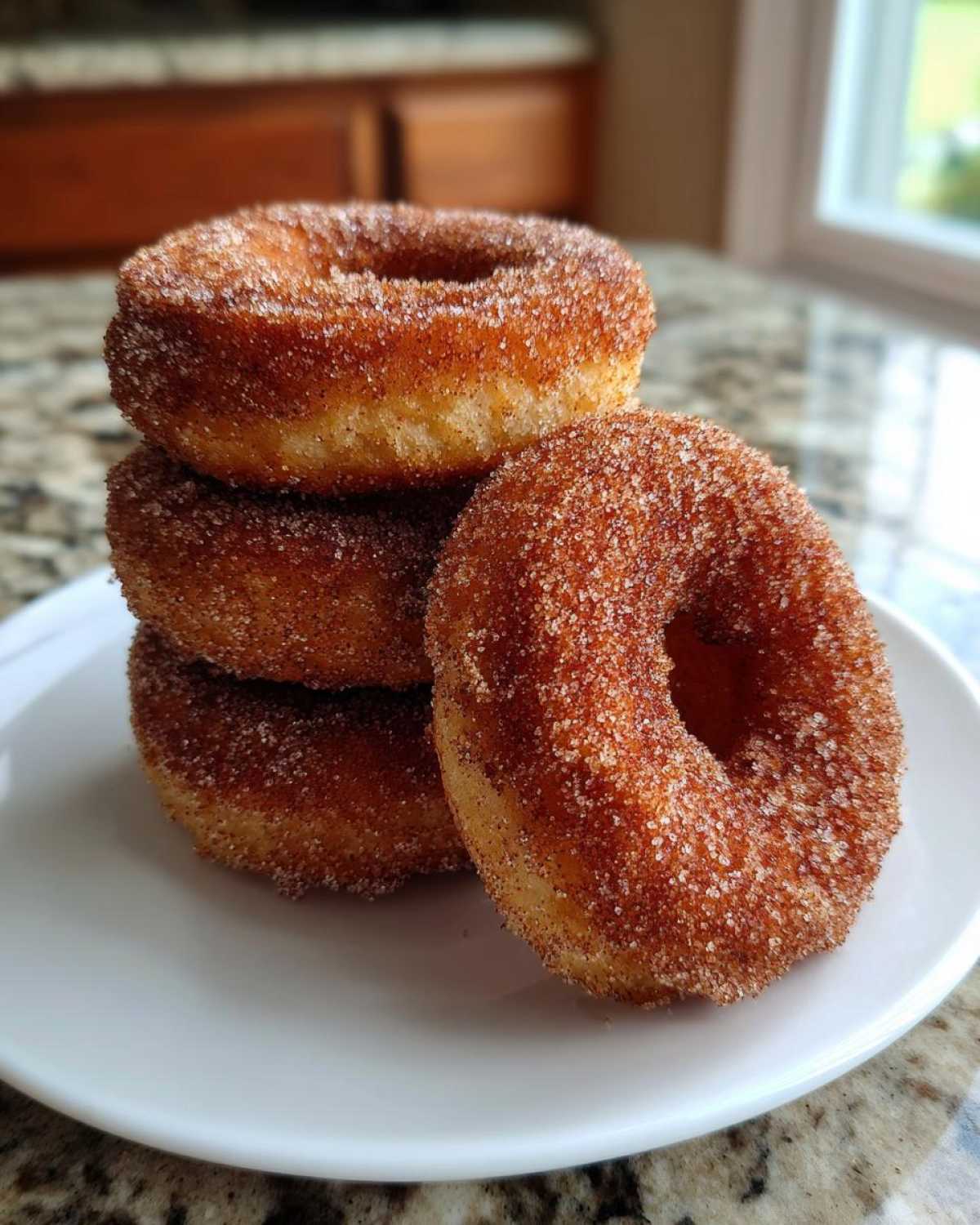 Cinnamon Sugar Air-Fryer Donuts - detail 1