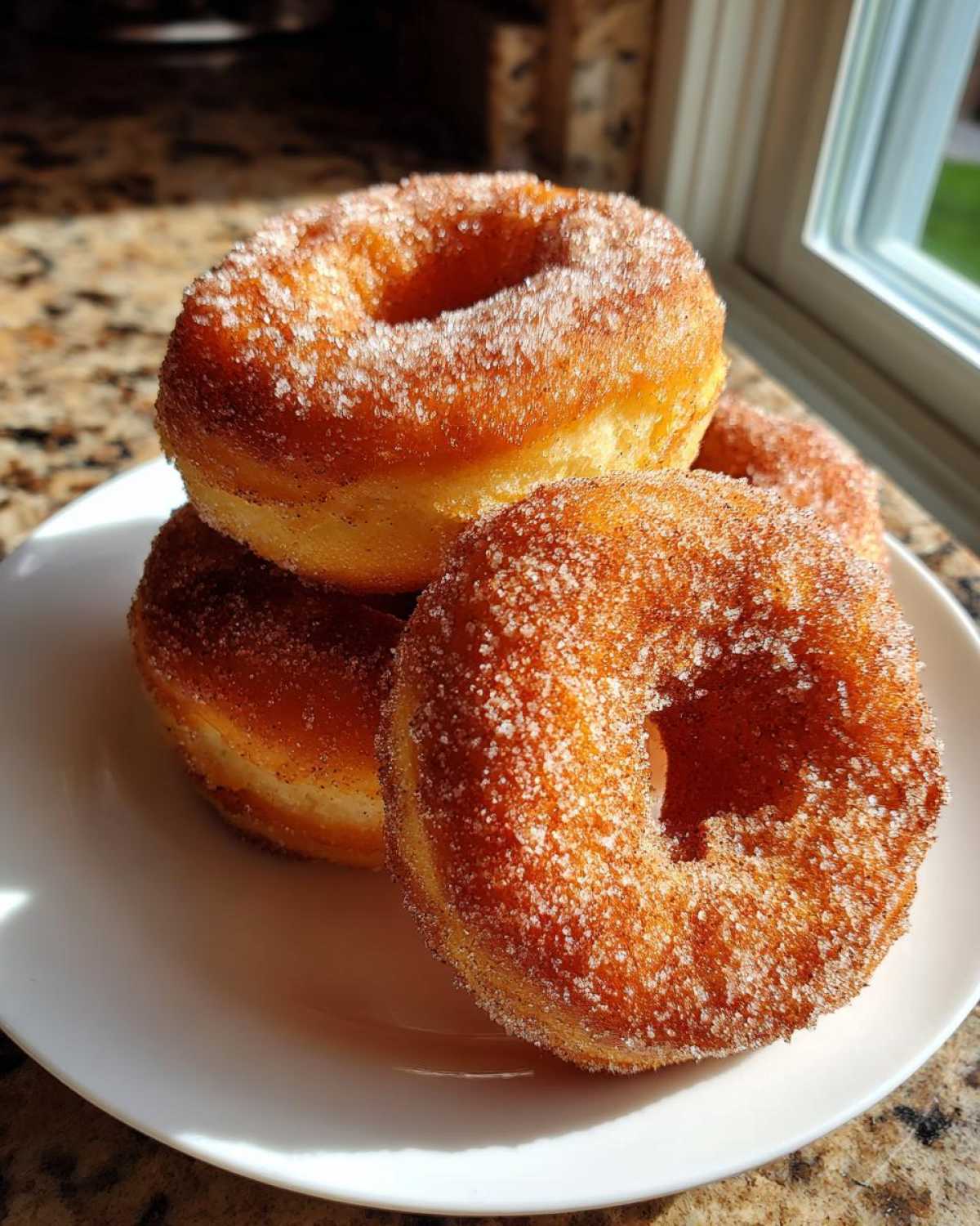 Cinnamon Sugar Air-Fryer Donuts - detail 2