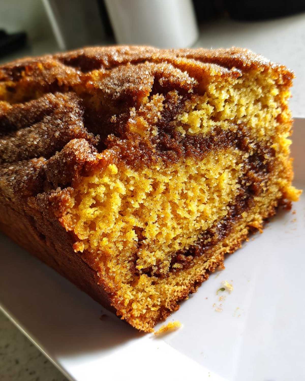 Cinnamon Swirl Pumpkin Bread - detail 2