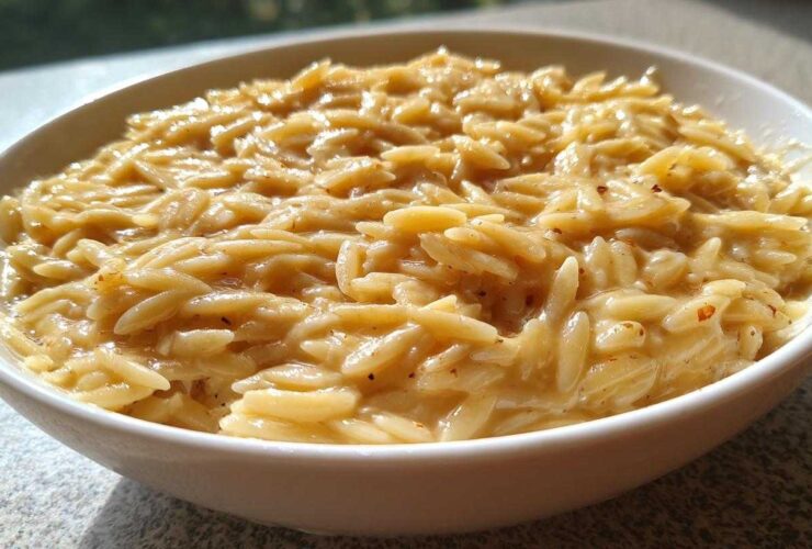 Creamy Garlic Parmesan Orzo
