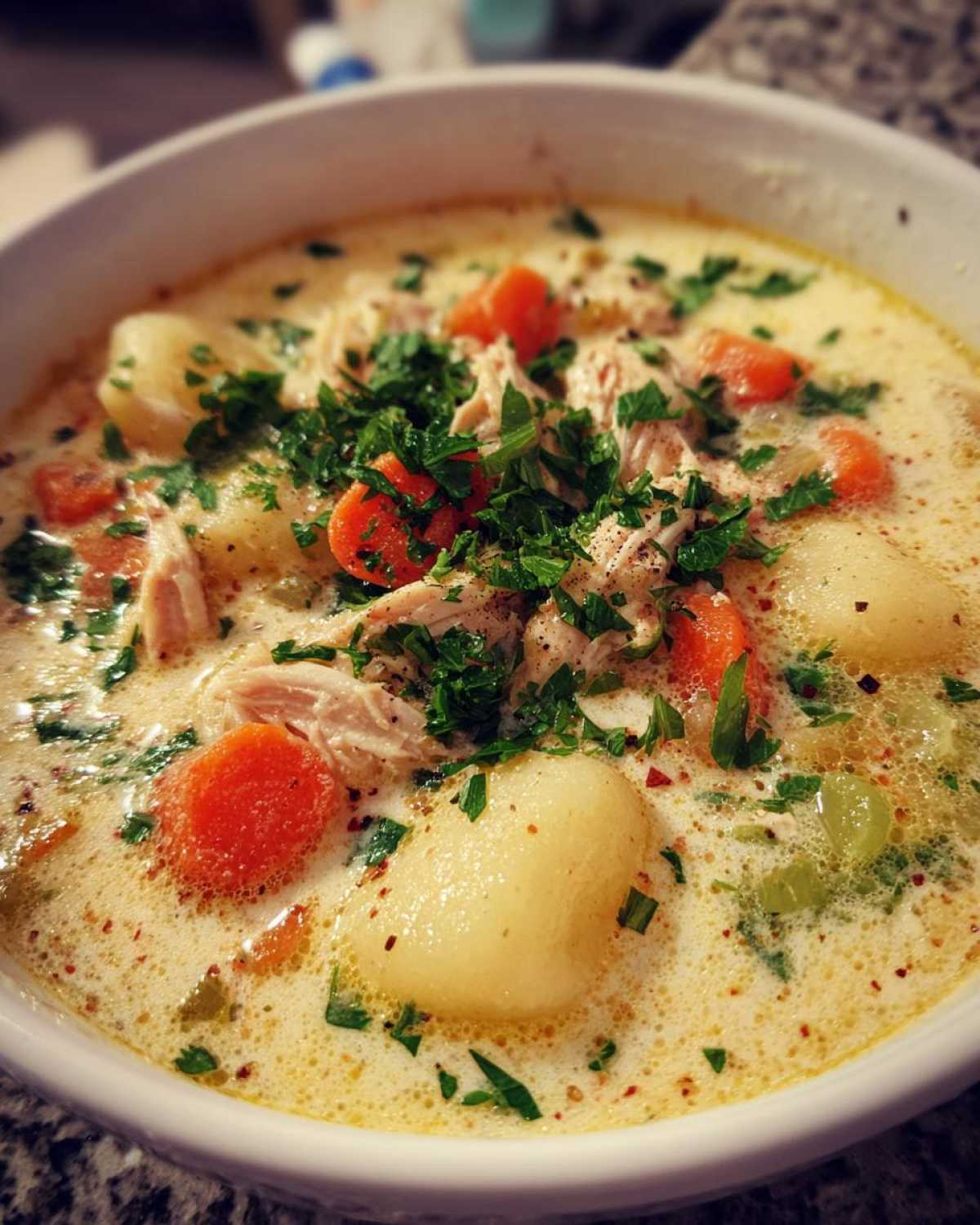 Creamy Gnocchi Chicken Soup - detail 4