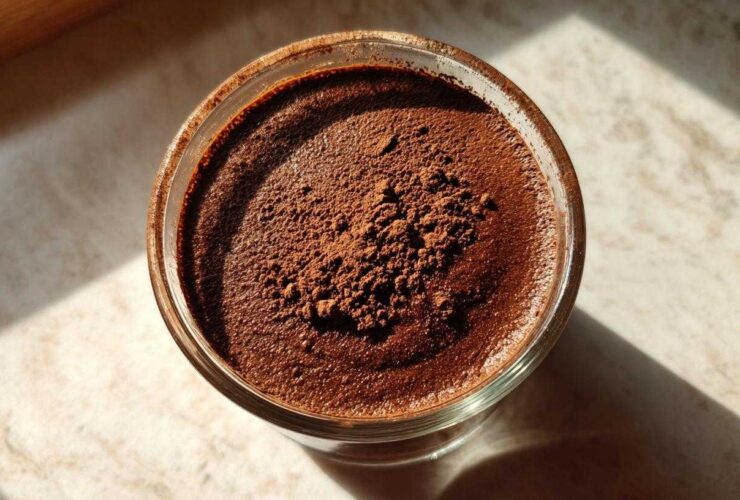 The Chocolate Mousse That Feels Like a Cheat Code