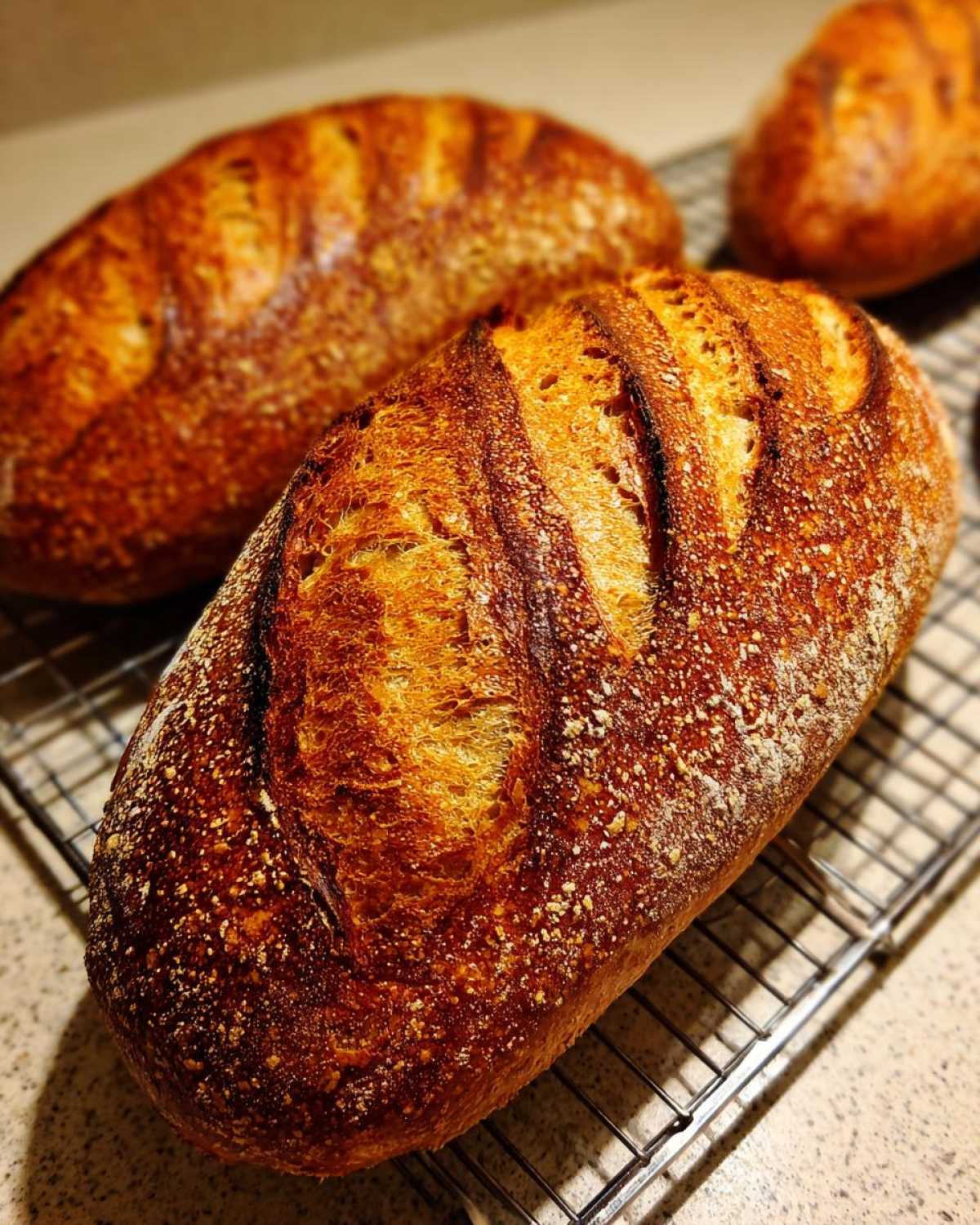 Close-up of a deeply browned, crusty loaf of homemade french bread resting on a wire cooling rack.