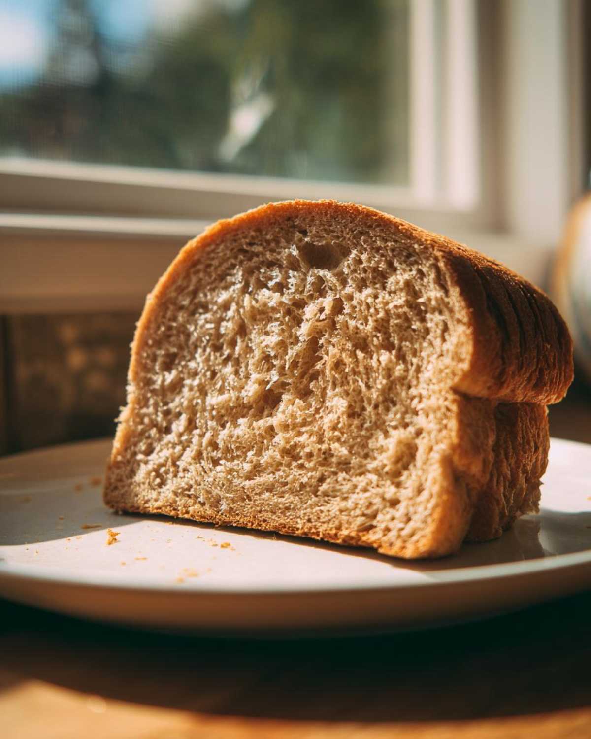 Close-up of a thick slice of homemade whole wheat bread resting on a light-colored plate near a window.