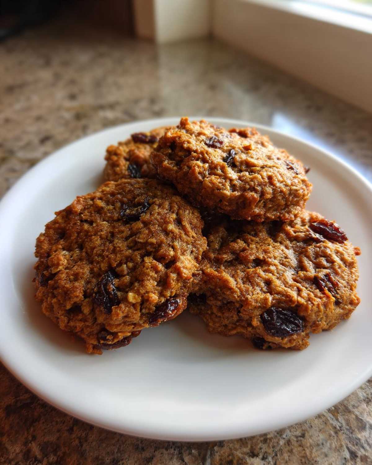 Four chewy Gluten-Free Oatmeal Raisin Cookies stacked slightly on a white plate near a window.