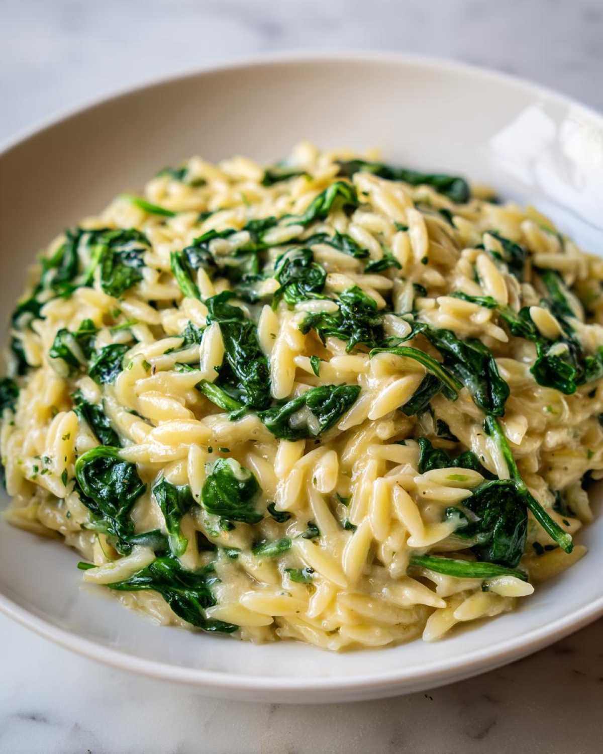 A close-up of a bowl filled with Creamy Garlic Parmesan Orzo with Spinach, showing the creamy sauce coating the pasta.