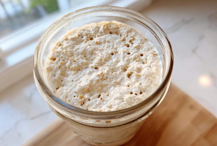 Close-up overhead view of an active, bubbly sourdough starter in a glass jar, showing visible oat flakes.