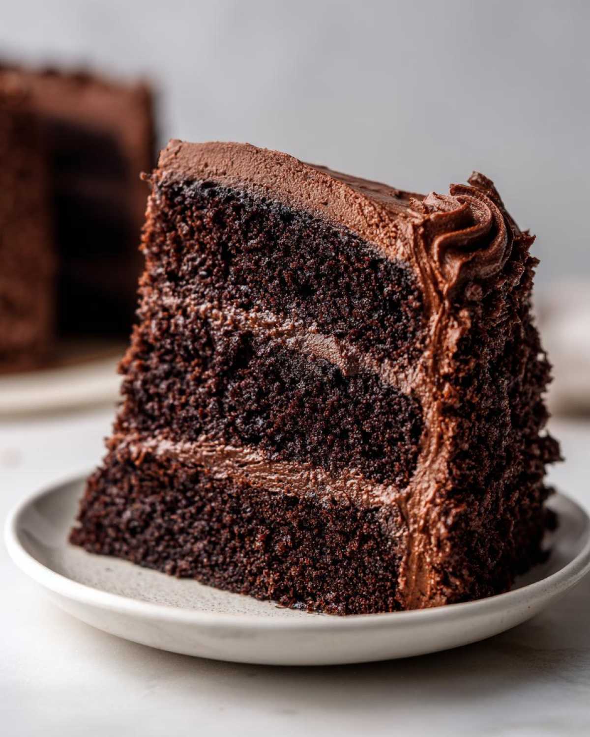 Close-up of a tall, moist slice of dark chocolate cake layered with rich chocolate frosting.