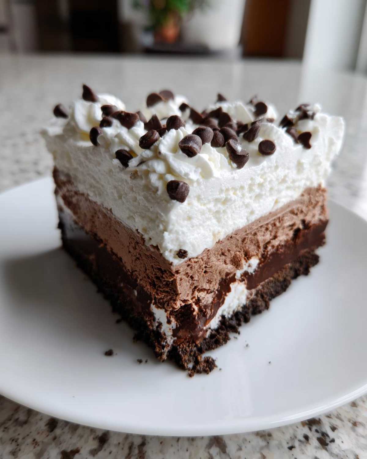 A rich slice of layered chocolate ice cream cake topped with whipped cream and mini chocolate chips.