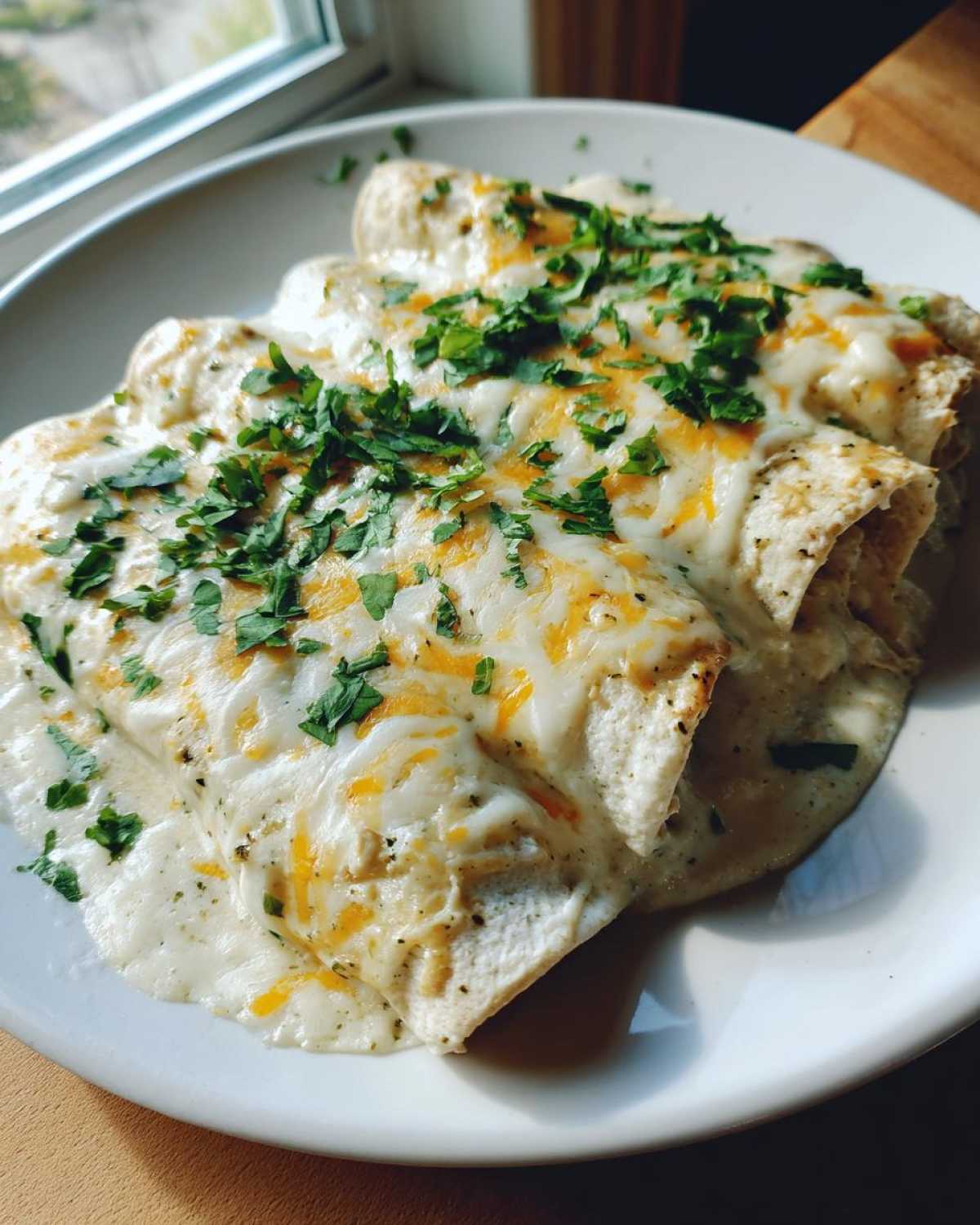 Close-up of three white chicken enchiladas covered in melted white cheese and topped with fresh cilantro.