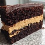 A close-up slice of decadent Chocolate Peanut Butter Cake showing dark chocolate layers and thick peanut butter filling.